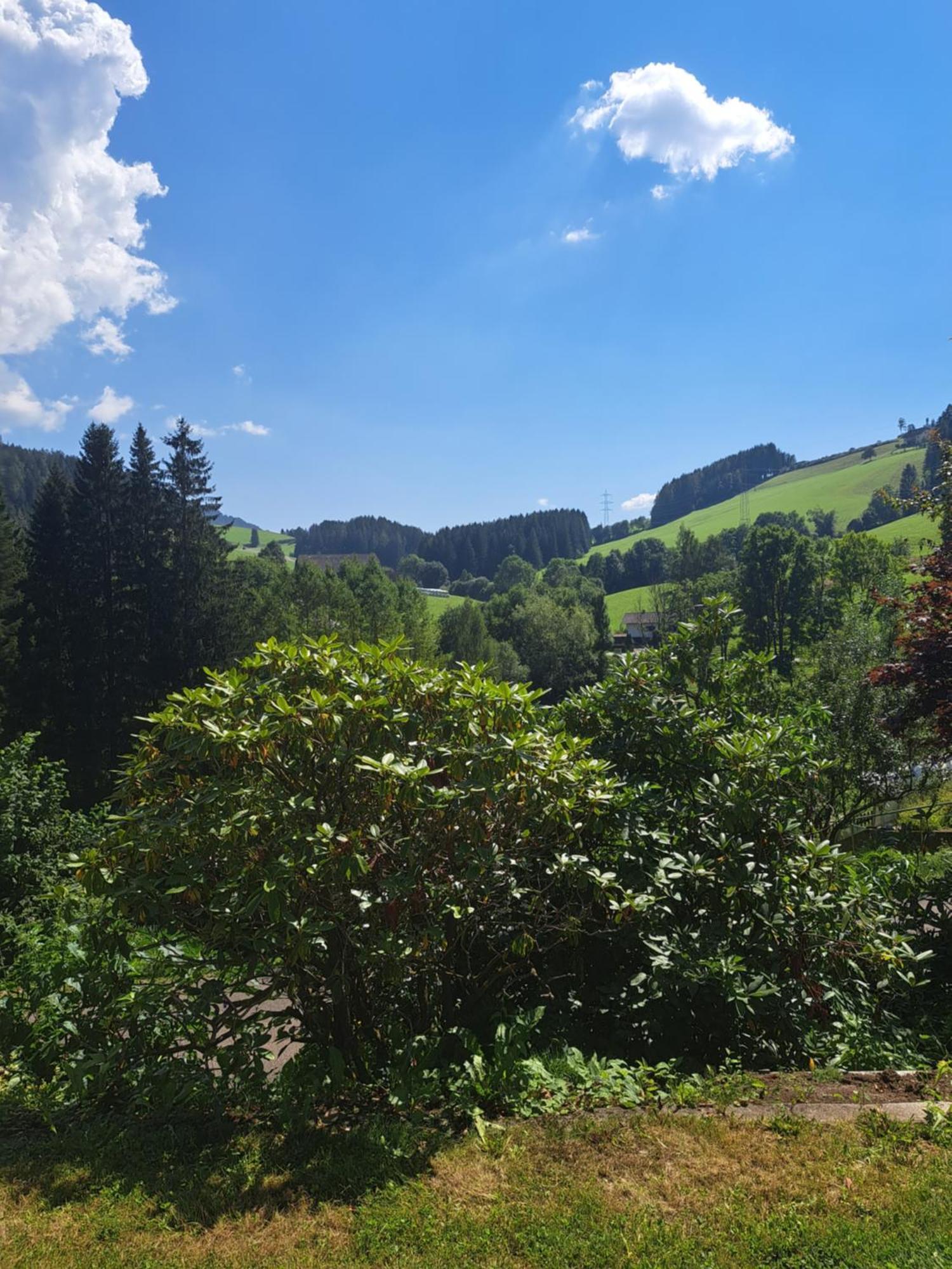 Baumgartner - Bauernhaus Weißkirchen in Steiermark Εξωτερικό φωτογραφία